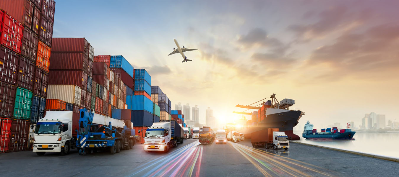 Enter the world of exports, we will pave the way for you 